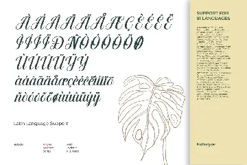 Anyva font