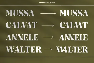 Callgest Display Font - 3 Styles