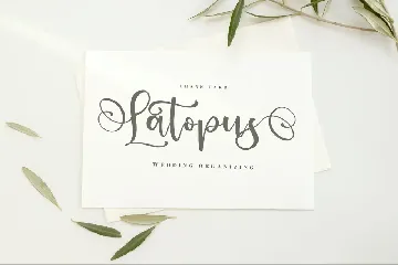 Ladytop Modern Script Font