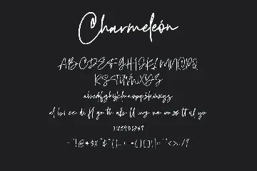 Charmeleon Script Typeface font