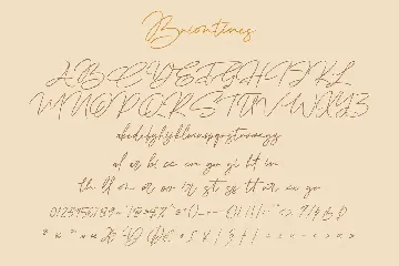 Briontines Signature Font