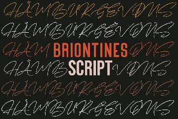 Briontines Signature Font