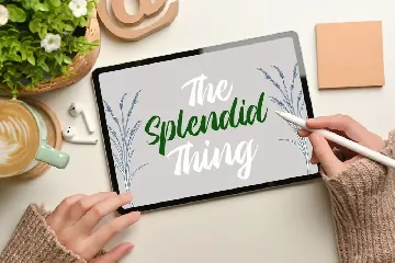 Modern Calligraphy Font