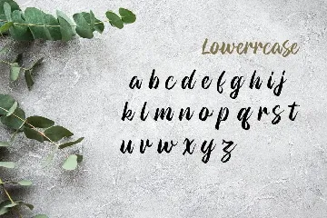 Modern Calligraphy Font