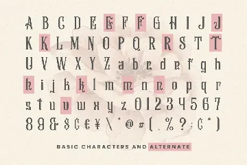 The Entik font