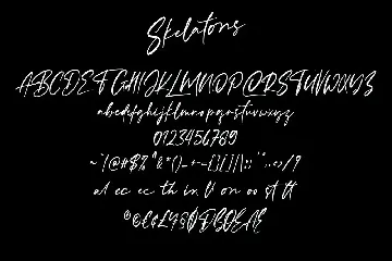 Skelatons Handmade Brush Font