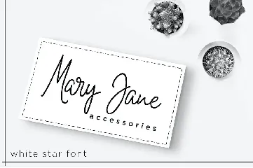 White Star - Monoline Signature Font