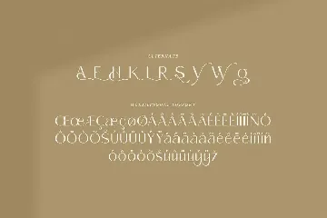 Cerdy - Elegant Sans Serif Font