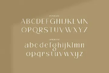 Cerdy - Elegant Sans Serif Font