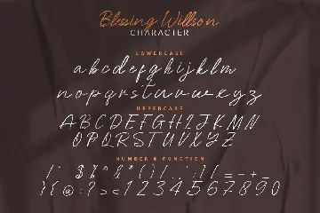 Blessing Willson Signature Script Font