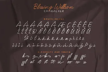 Blessing Willson Signature Script Font