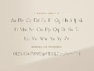 Longevity - Modern Stylish font