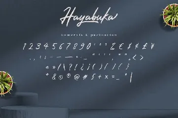 Hayabuka - Signature Font