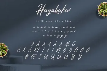 Hayabuka - Signature Font