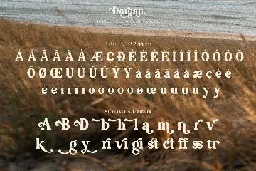 Dorgan font