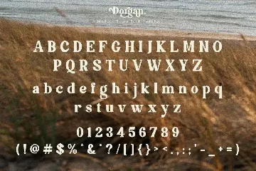 Dorgan font