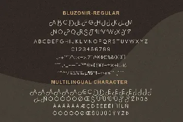 Bluzonir Stylish Sans Serif Font