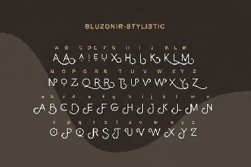 Bluzonir Stylish Sans Serif Font