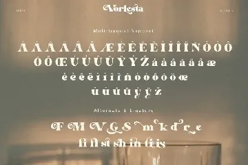 Vorlesta font