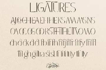 Coastine â€“ Chic Modern Font