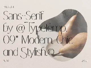 Coastine â€“ Chic Modern Font