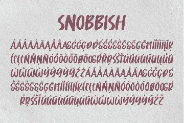 Snobbish - Organic Brush Font