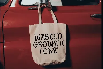 TF Wasted Growth - Display Font