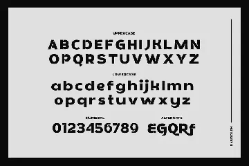 Randolph - Unique Sans Serif Font