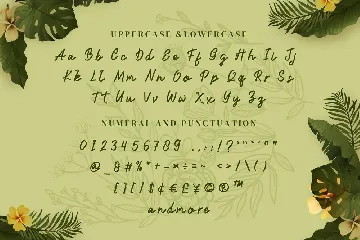 Bledoek Kuwu - Modern Script fonts