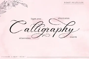 Aniyah - Calligraphy Script font