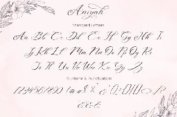 Aniyah - Calligraphy Script font