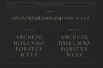 Vegawanty Modern Serif font