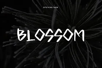 Bocast Japan Style Display Font