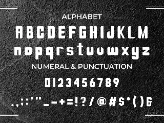 Shunzhi Font