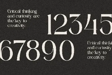 Bilagike Modern Serif Font