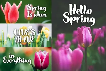 Hello Spring font