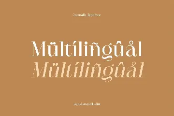 Garmalla - Display Serif Font