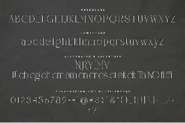 CANOVER | Ligature Serif font