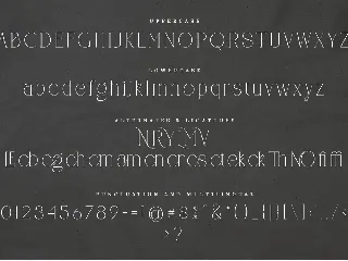 CANOVER | Ligature Serif font