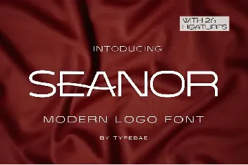 Seanor - Modern Logo Font