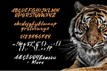 Asia Tiger font