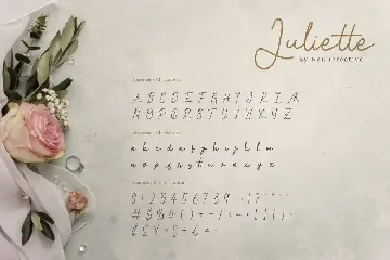 Juliette - Modern Script Font