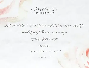 Southwide Feminine Script Font