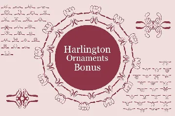 Harlington Script font