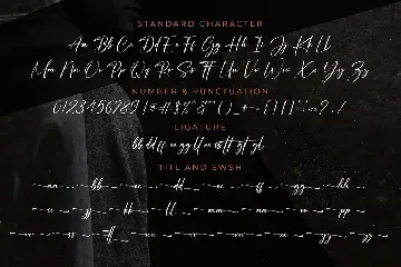 Auttera Signature font