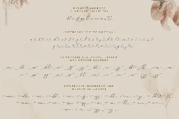 Beloved Journey font