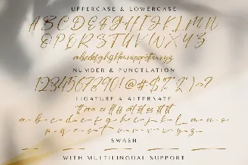 Dilan Script - Modern Script Font