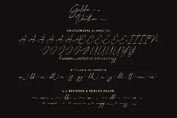 Golden Partline font