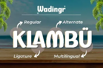 Wadingr | Summer San Serif Display font