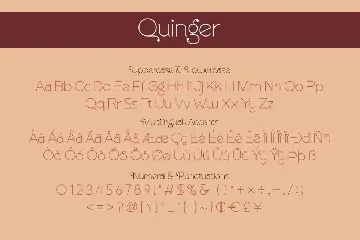 Quinger - Unique Sans Display font